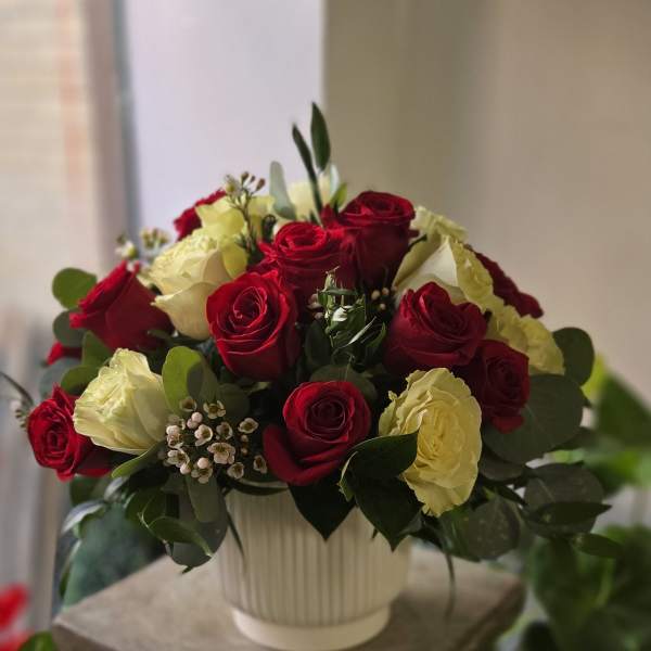 Red and cream roses arranged in a white vase