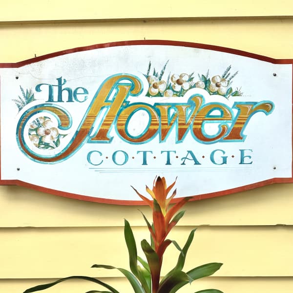 Potted bromeliad with orange-red bloom in a woven basket