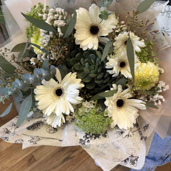 Bouquet of white gerbera daisies with a green succulent center, wrapped in printed tissue and cellophane.