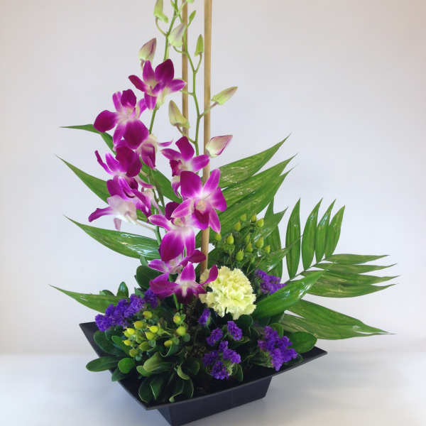 Purple orchids arranged in a black square vase with green foliage