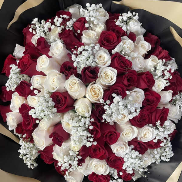 Bouquet of red and white roses with baby's breath in black wrap