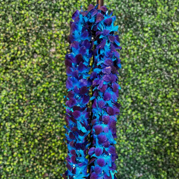 Two purple and blue flower leis hanging against a green backdrop