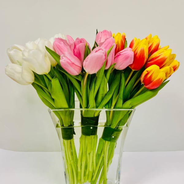 Bouquet of white, pink, and yellow-red tulips in a clear glass vase
