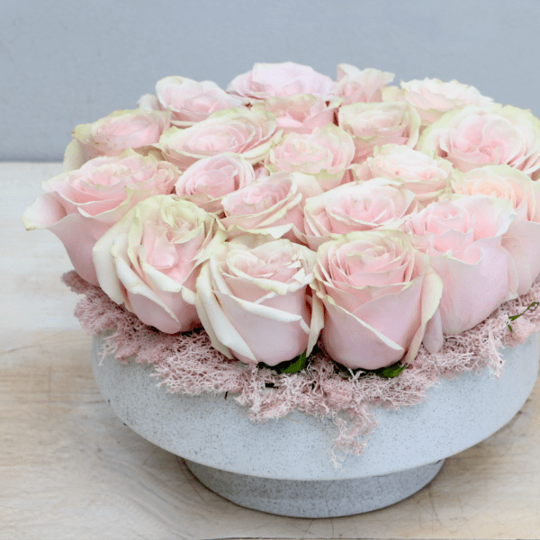 Low round arrangement of pale pink roses tightly packed in a white bowl