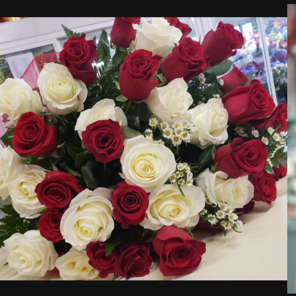 Three dozen red and white roses