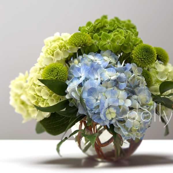 Blue and green hydrangea bouquet with green pompon mums in a glass vase