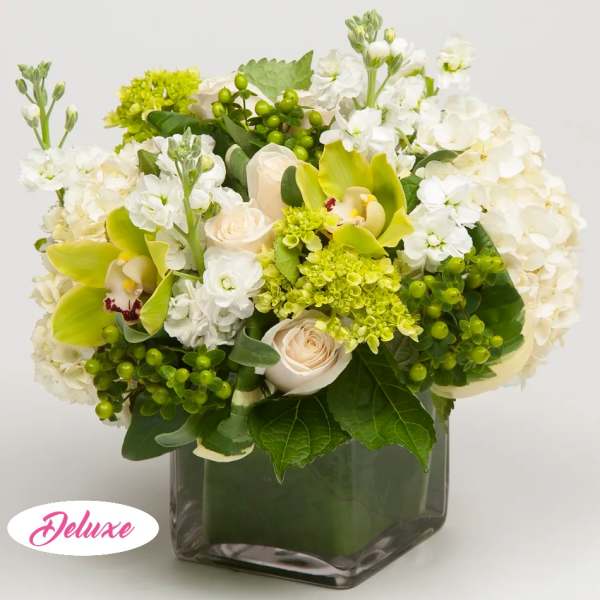 White and green floral arrangement in a square glass vase