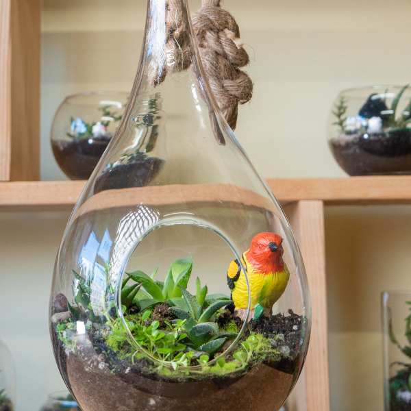 Glass hanging terrarium with succulents and a colorful bird figurine