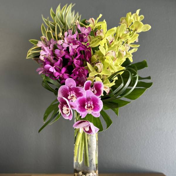 Pink and yellow orchids arranged in a tall glass vase.
