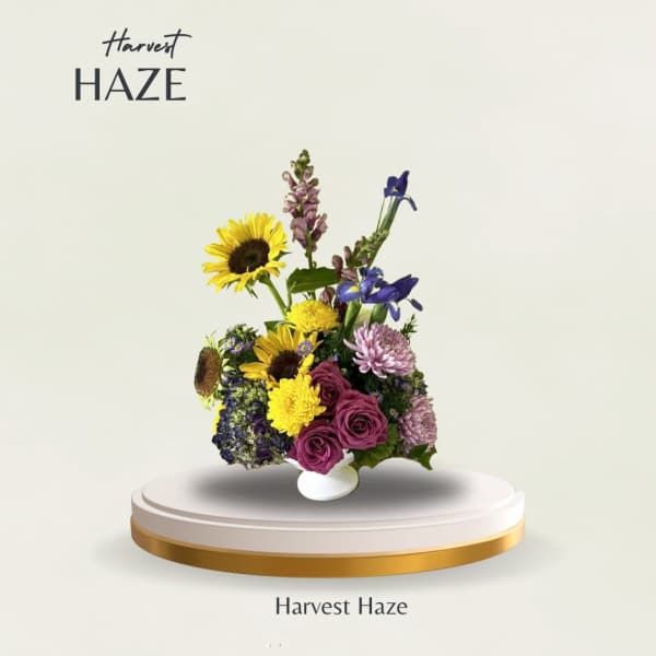 Harvest Haze