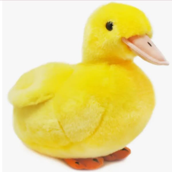 Dani The Duckling