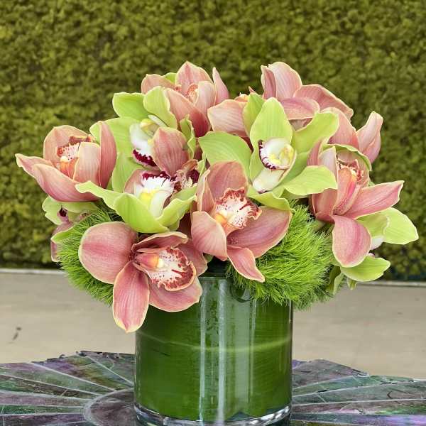 Pink and green orchids arranged in a glass vase