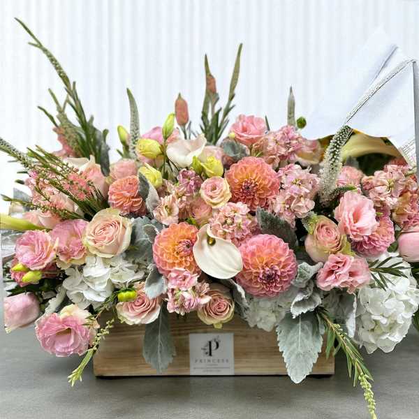 Creation Thirty Eight