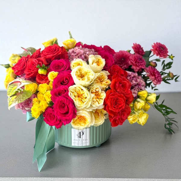 Creation Forty Seven