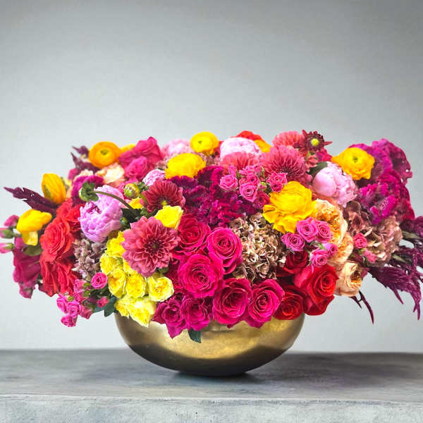 Creation Forty Eight