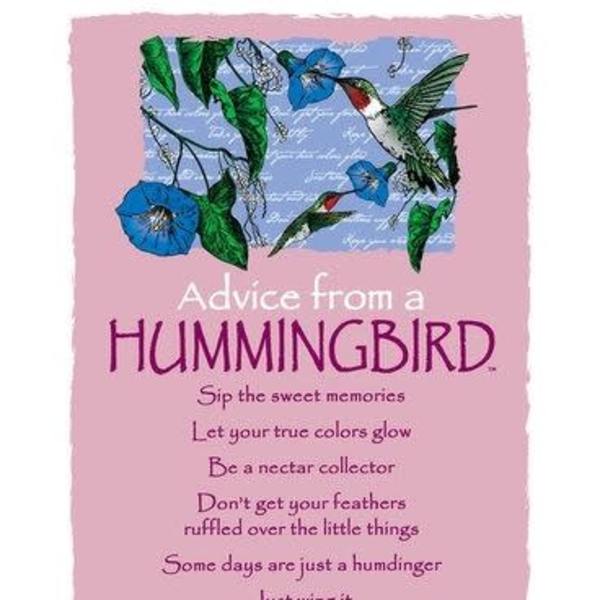 Pink wall art print with illustrated hummingbirds and blue flowers and the text Advice from a Hummingbird.