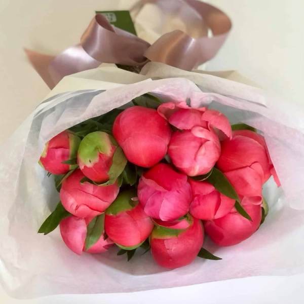Bouquet of pink peony buds wrapped in white paper with a satin ribbon