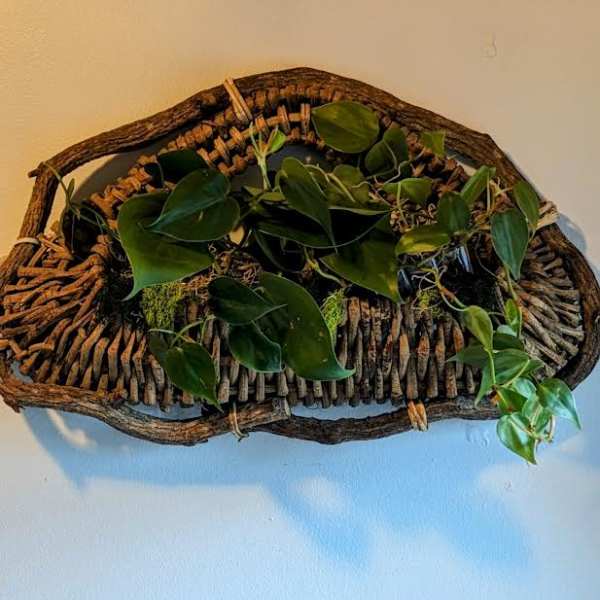 Hanging Wooden Pothos Decor