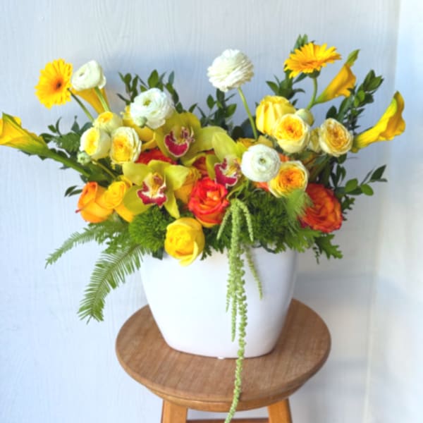 EC15 - Pretty and Bright