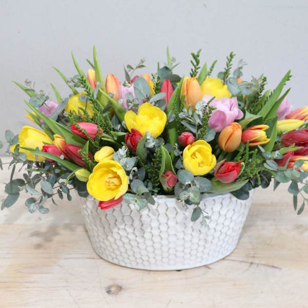 Tulip Gala - My Glendale Florist