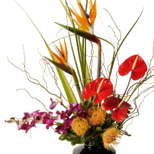 Tall tropical arrangement with birds of paradise, red anthuriums and orchids in a black vase