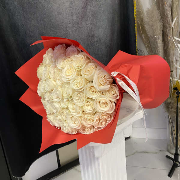 50 white roses wrapped