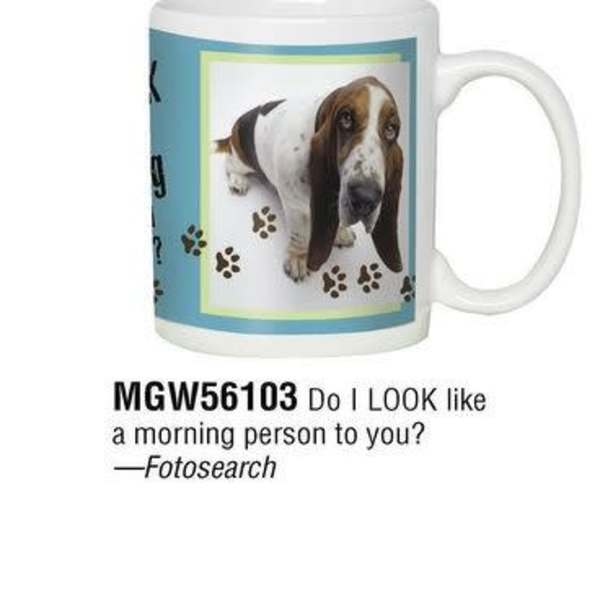 White coffee mug with a basset hound photo and humorous morning text