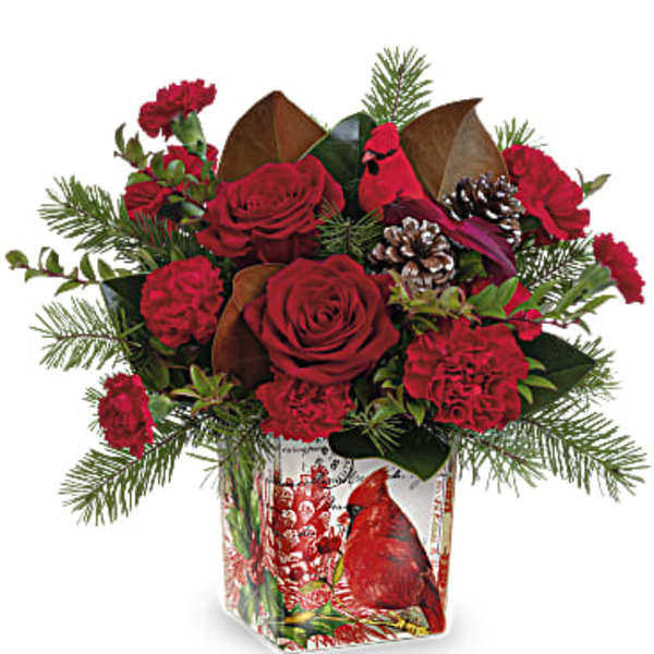 Red roses and carnations in a holiday vase with pinecones and evergreen sprigs