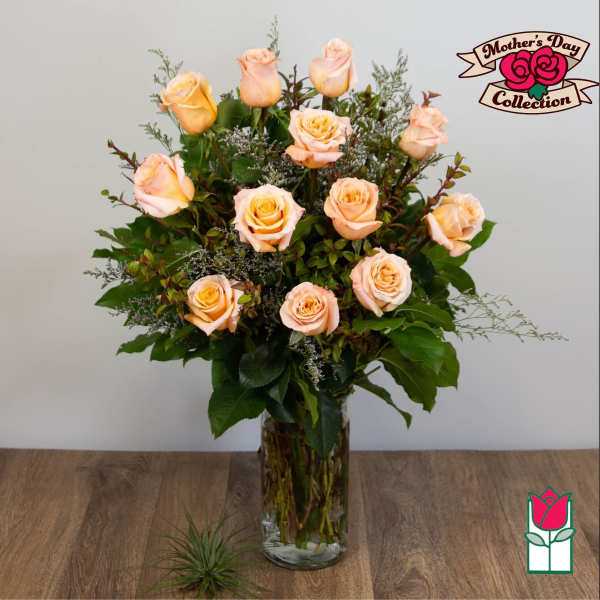 Beretania's Extra Long Stem Peach Rose Masterpiece (30% Larger Flowers) Pink Hue May Vary