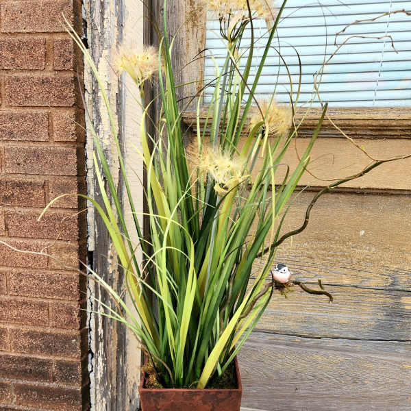 Tall potted arrangement with long grass-like leaves and pale yellow blooms