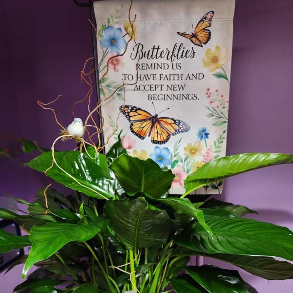 Potted green plant with a white ribbon and butterfly sign