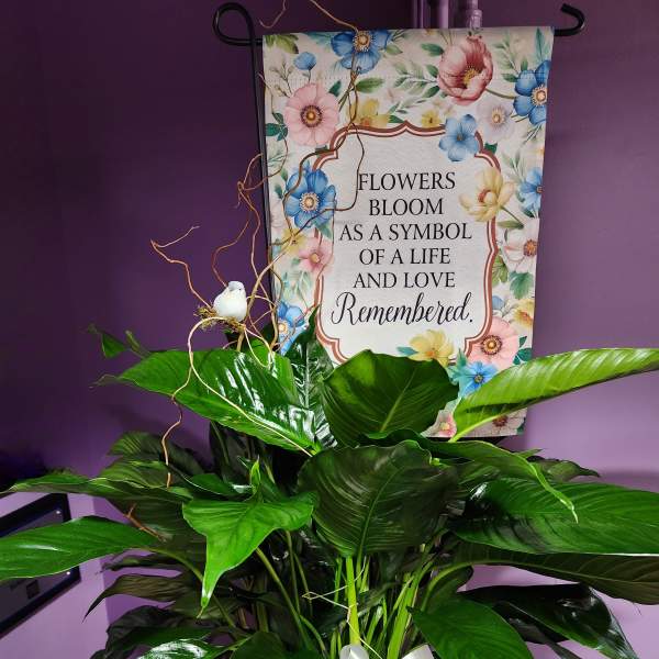 Potted green plant in a basket with a white ribbon and memorial sign