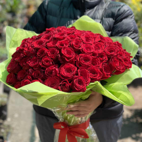 Large bouquet of red roses wrapped in bright green paper with a red ribbon