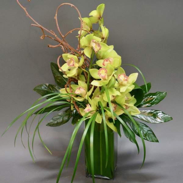 Green orchid arrangement in a tall glass vase with curly branches