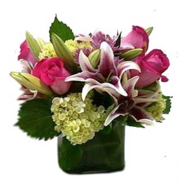 Compact arrangement of pink roses, lilies, and green hydrangea in a square glass vase