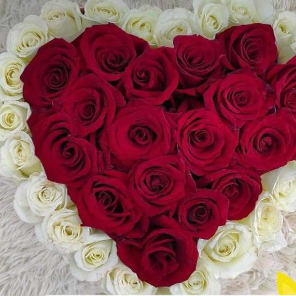hearts roses