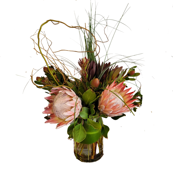 King Protea Arrangement, Subject to availability