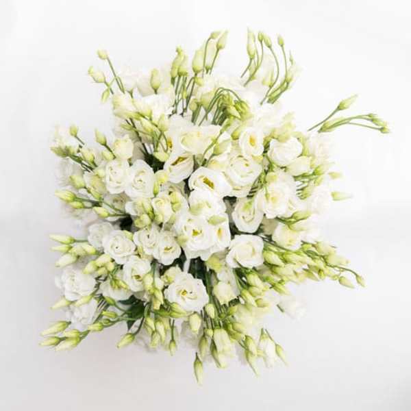 White floral bouquet with many small blooms and pale green buds
