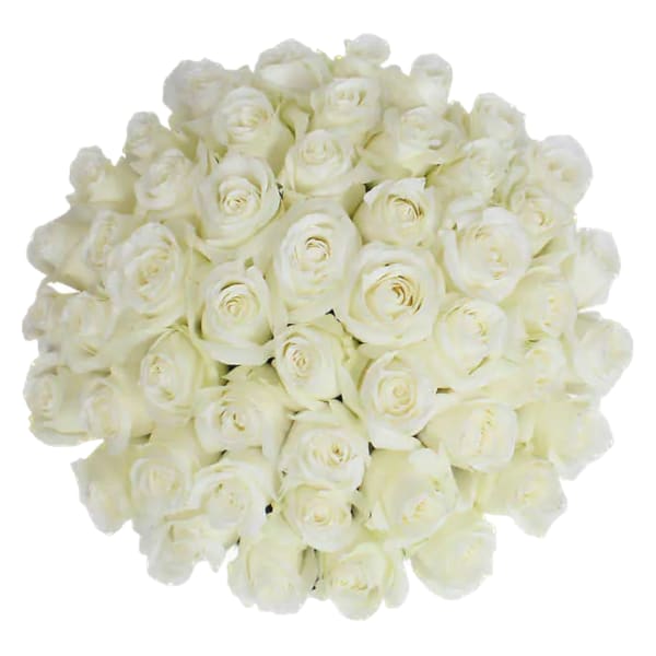 Lotus Love Classic White Handtied Bouquet