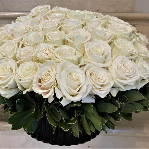 Low round arrangement of tightly clustered white roses in a black container