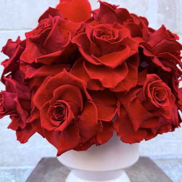 Stunning preserved red roses!