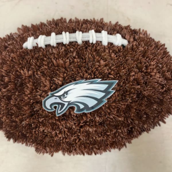 Eagles Football Tribute