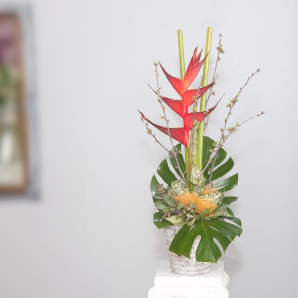 Coit Tower Parrots of Paradise