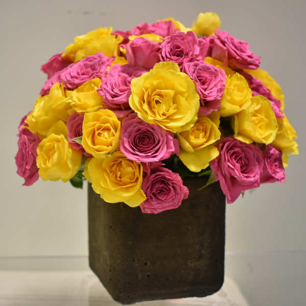 Pink and yellow roses arranged in a dark square vase