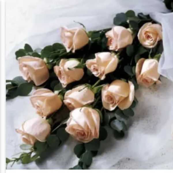 Loose stems of pale peach roses with dark foliage on a white surface