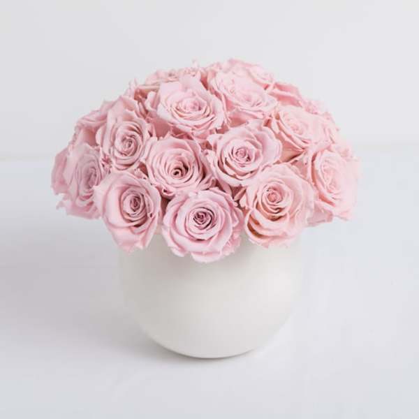 Pink Preserved Roses - Lasts a full year