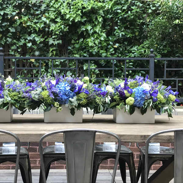 Three low floral centerpieces in white containers on a wooden table