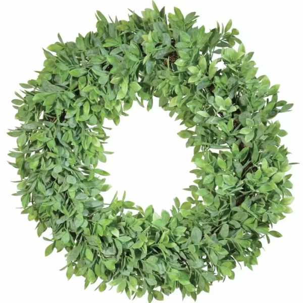Green leafy wreath on a white background