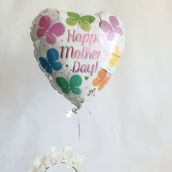 Mother's Day balloon with white orchid in a decorated pot