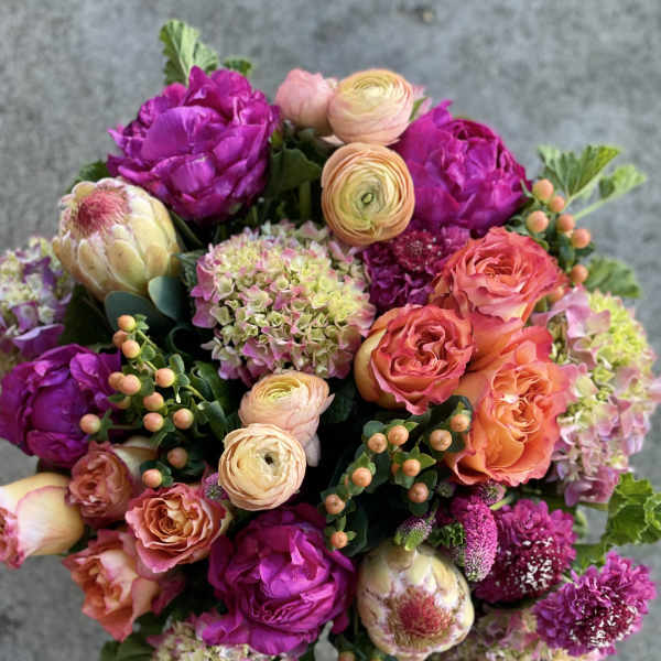 Vibrant round arrangement of fuchsia peonies, orange roses, peach ranunculus, hydrangeas, and protea.